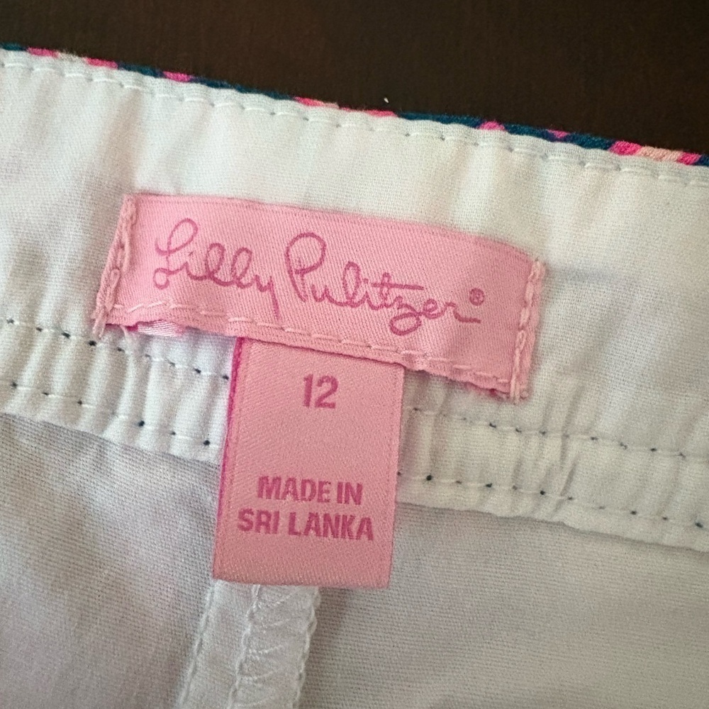 Lilly Pulitzer Callahan Skort Sz  10   Blue Pink - Picture 4 of 4